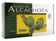 Artesania Alcachofa Eco Plantis 20 Amp