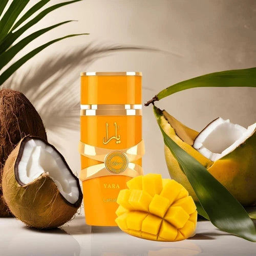 Tous et 50 Vap Mini Bl 50ml Cof N25
