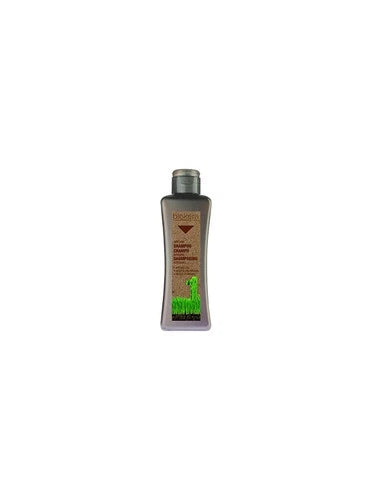 BIOKERA specific anti-hair loss shampoo 300 ml